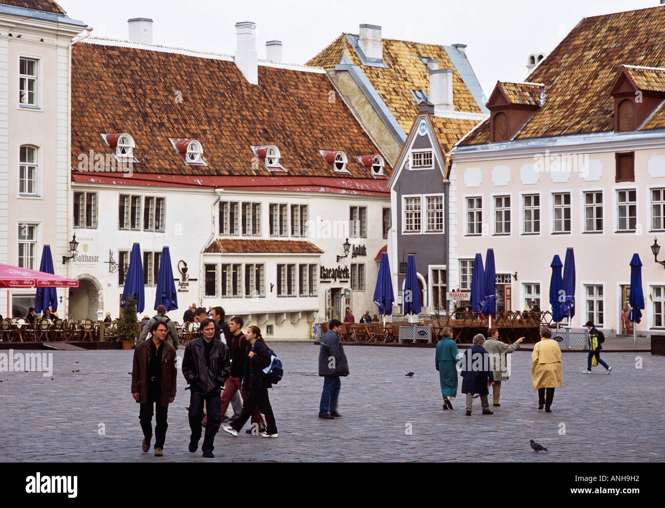 Tallinn Old Town Estonia Town Council S Apothecary Raeapteek In