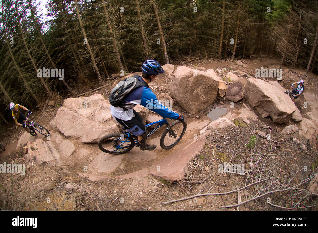 mountain biking north east