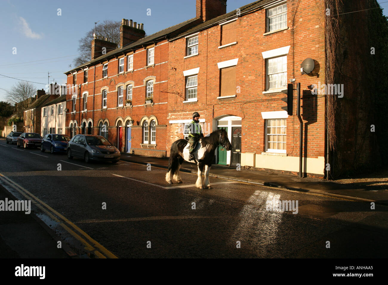 Large shire horse and rider wait for red traffic lights on the main road in Highworth Wiltshire Stock Photo