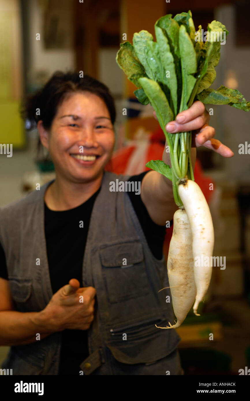 Tai Po food market Hong Kong, China, Asia. Chinese Organic Vegetable