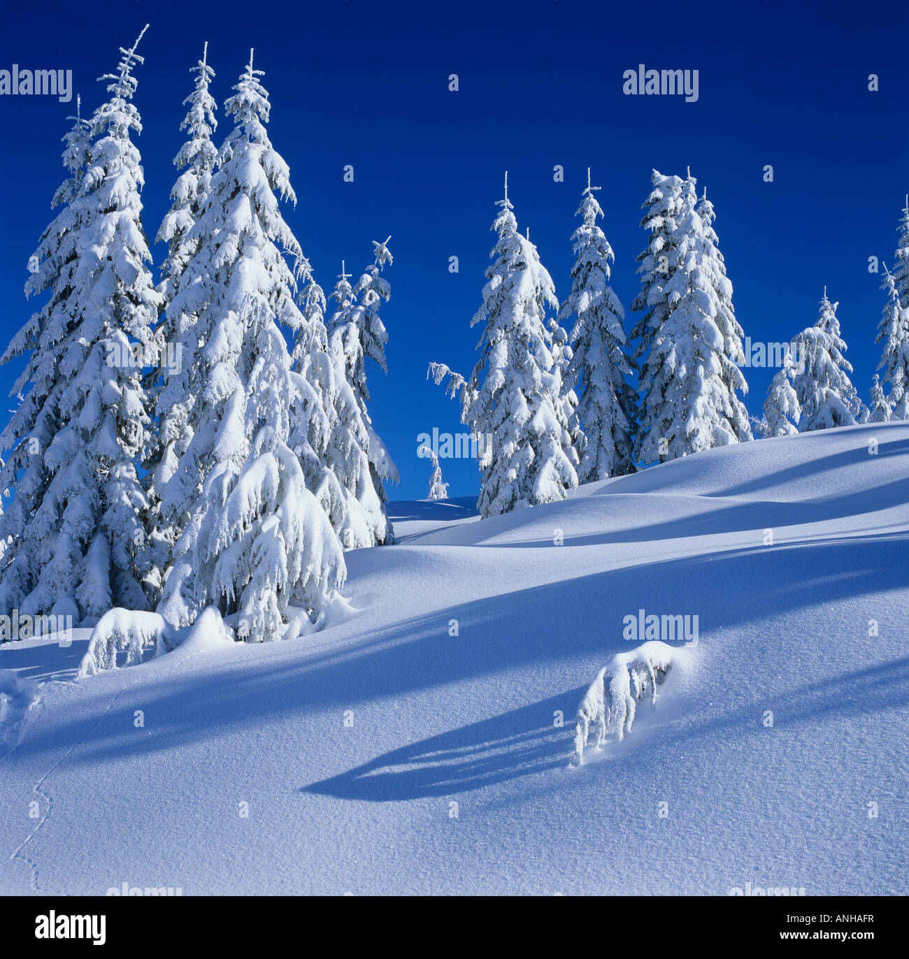 Fresh snow on Mount Elphinstone, British Columbia, Canada. Stock Photo