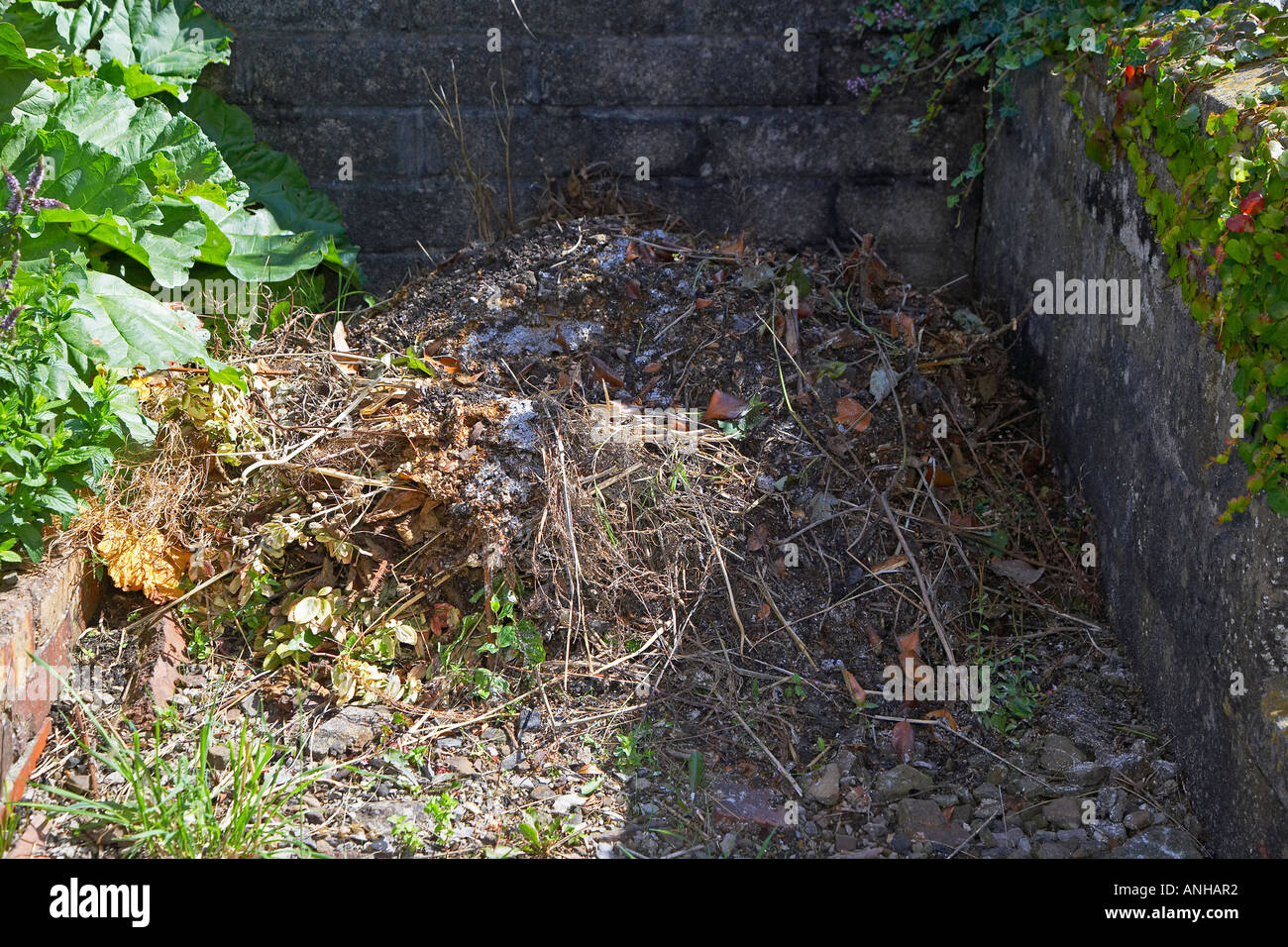 Compost Heap in Garden in Wales UK Stock Photo Alamy