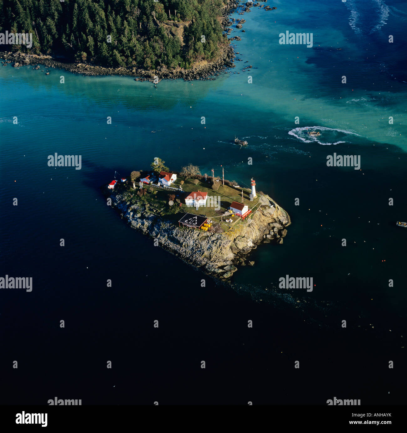 Herring spawn and fishery, Chrome Island Lighthouse, British Columbia, Canada. Stock Photo
