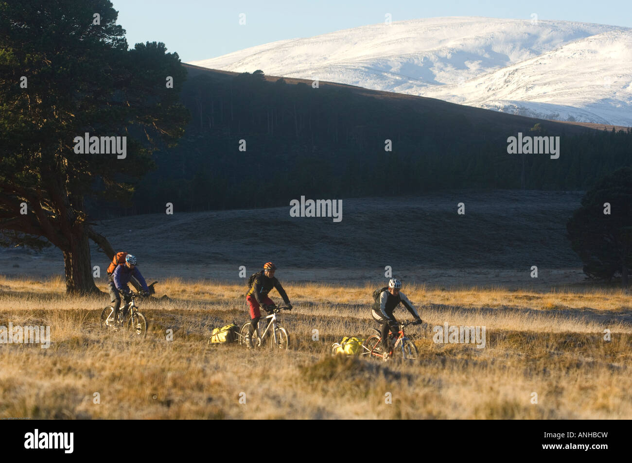 cairngorms bikepacking