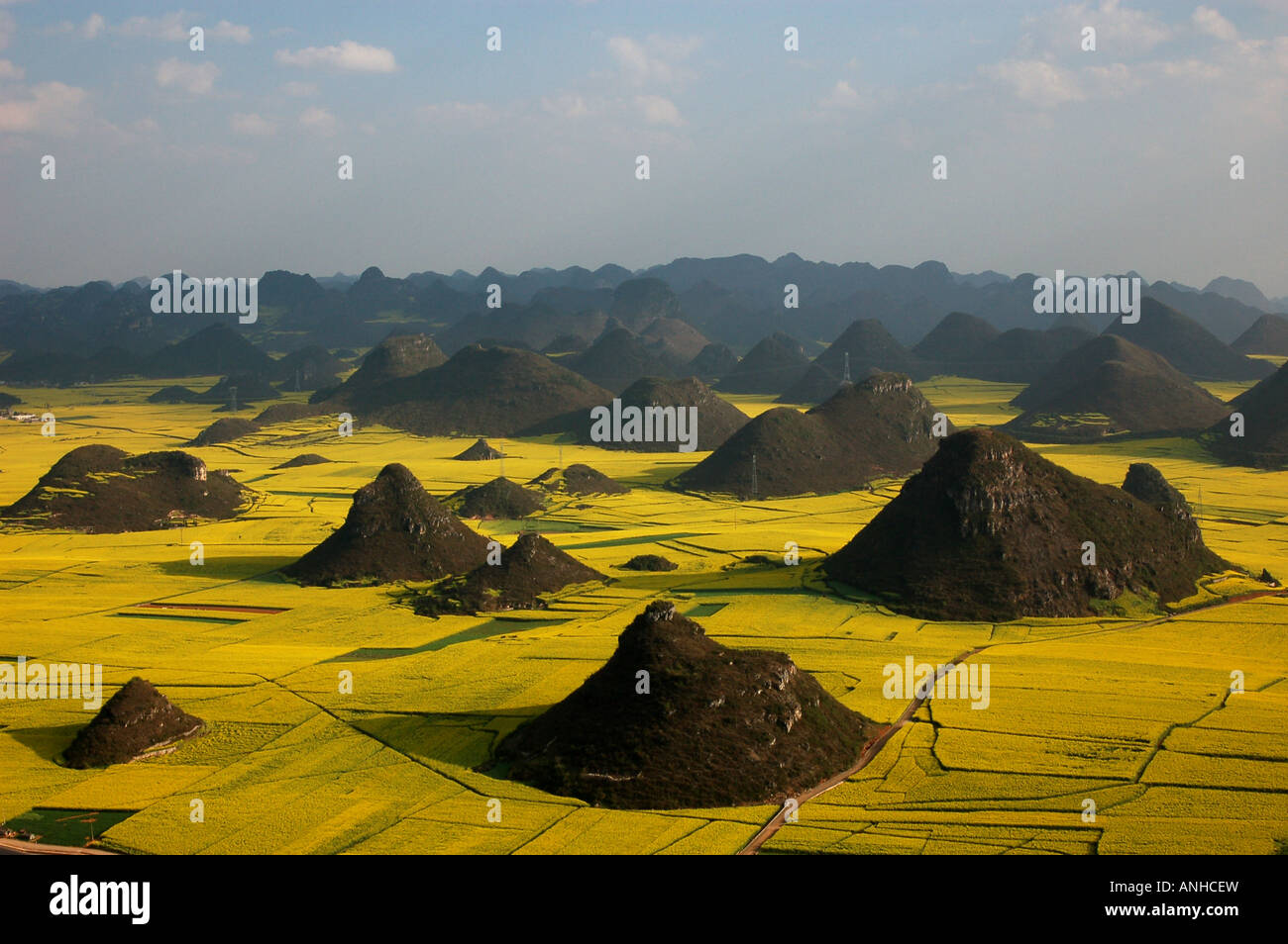 China february Rape flower festival in Yunnan Luoping Stock Photo - Alamy