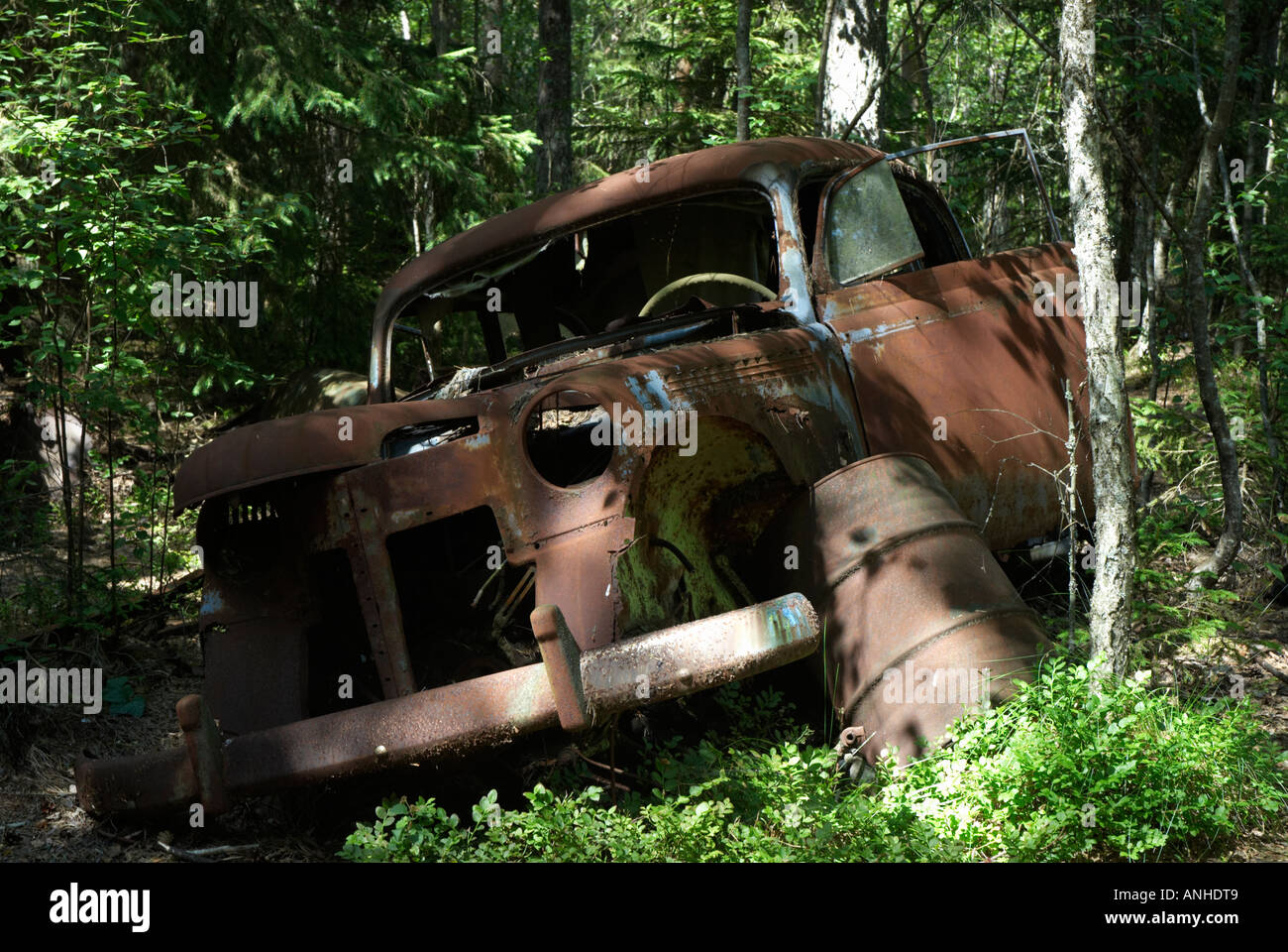 Scrapyard for old cars Stock Photo Alamy