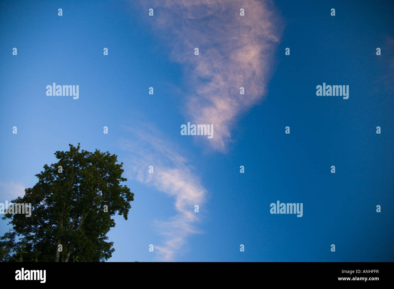 Altocumulus cloud Stock Photo