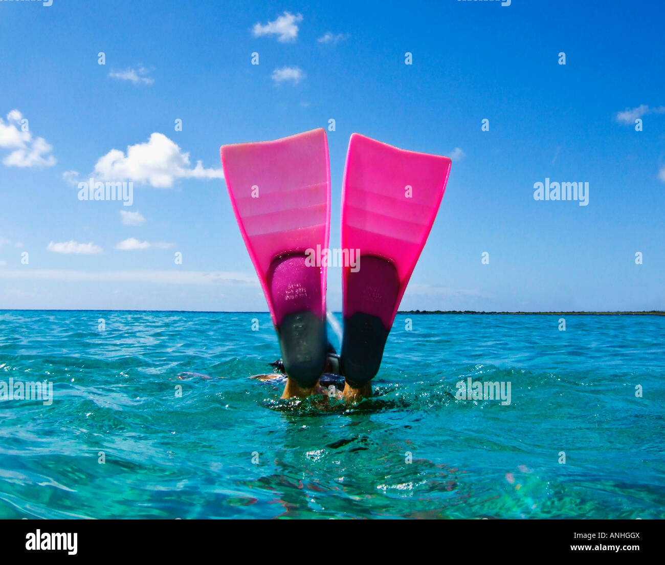 Pink dive fins diving into blue cyan caribbean sea Stock Photo