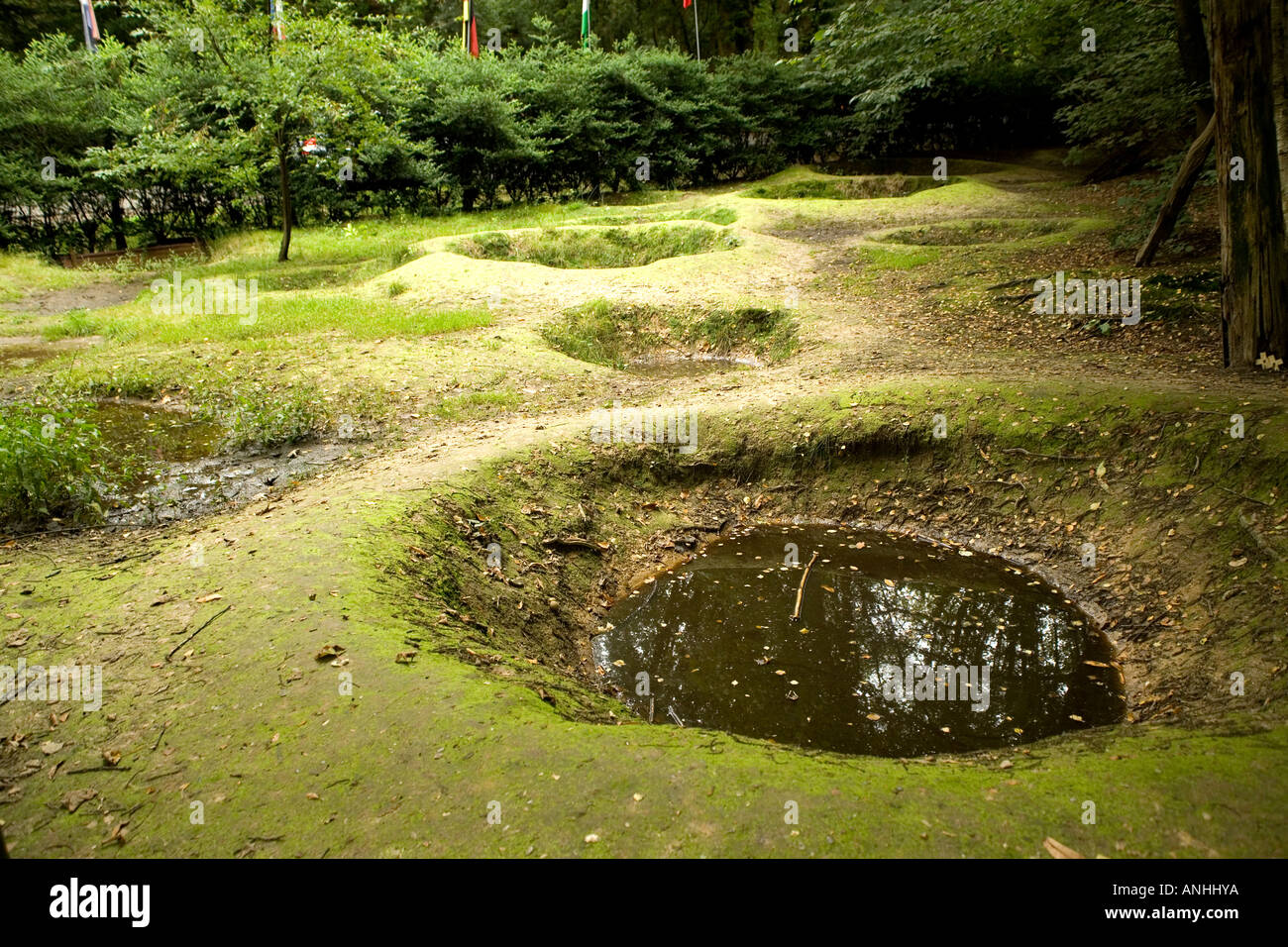 Preserved WW1 shell holes and trenches at Sanctuary Wood near Ypres Stock Photo 8875641 Alamy