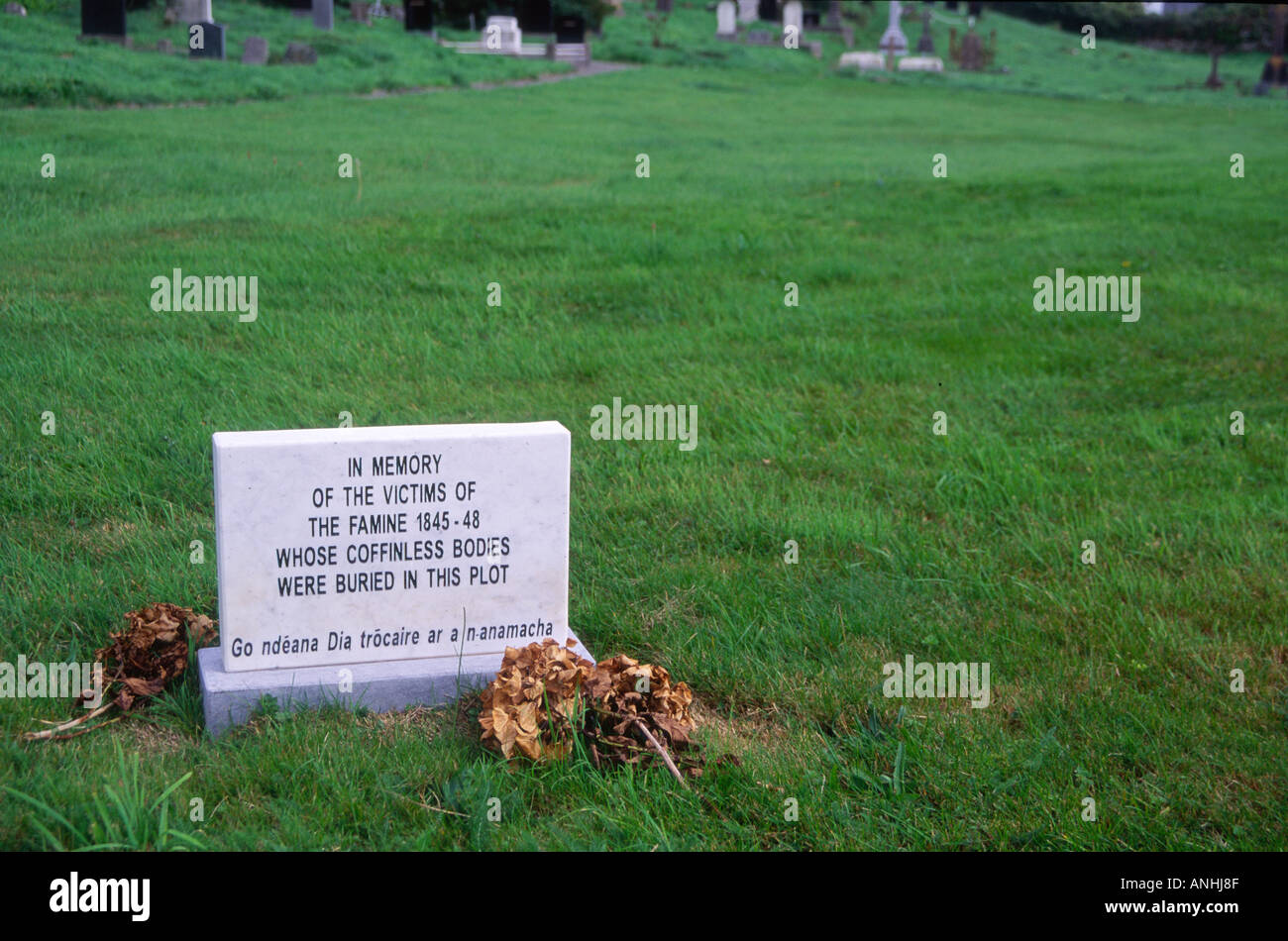 Memorial gravestone to Irish potato famine victims 18451848