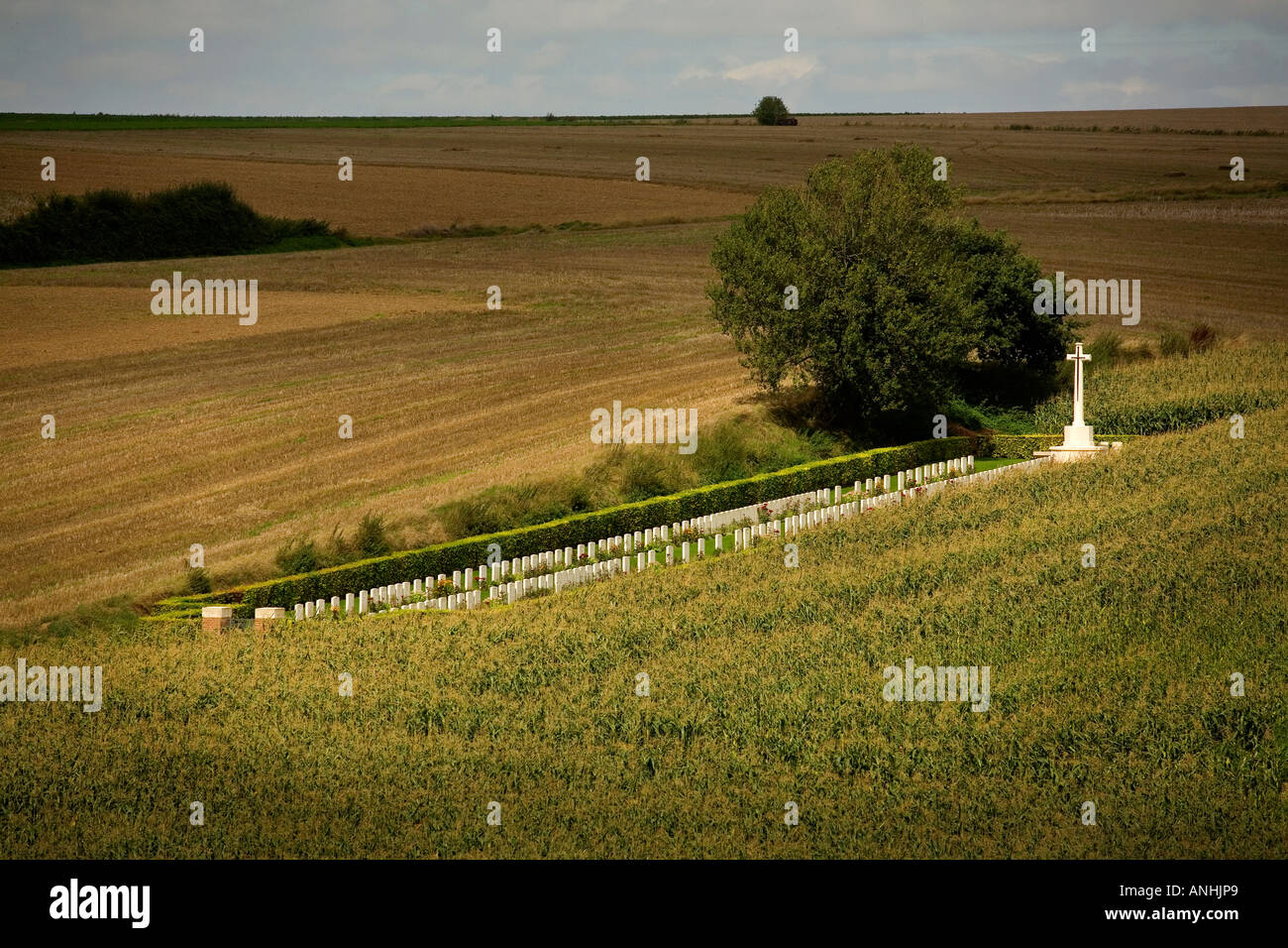 Beaumont Hamel cemetery containing British soldiers graves on the Somme battlefield in France Stock Photo