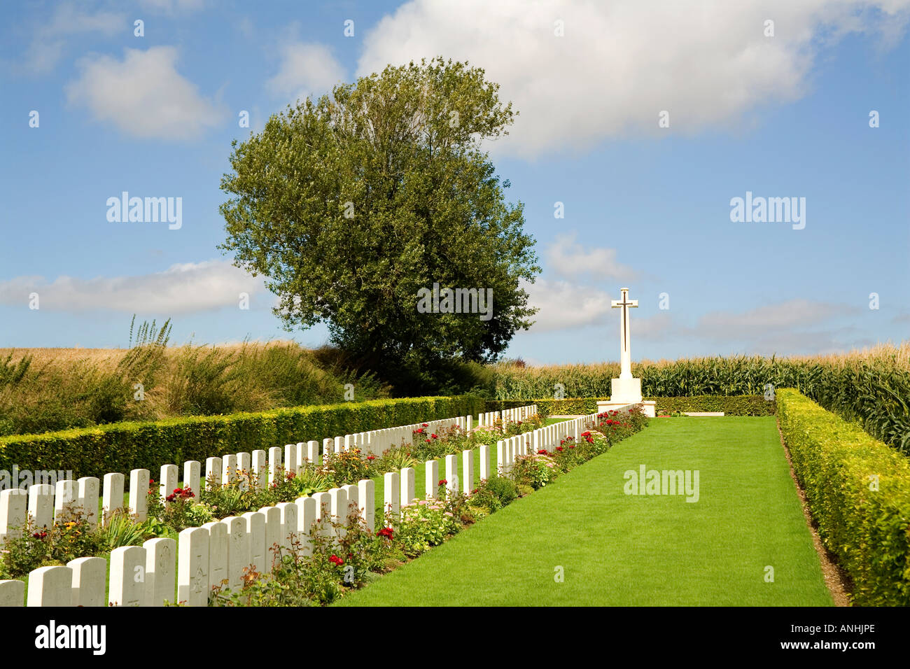 Beaumont Hamel cemetery containing British soldiers graves on the Somme battlefield in France Stock Photo