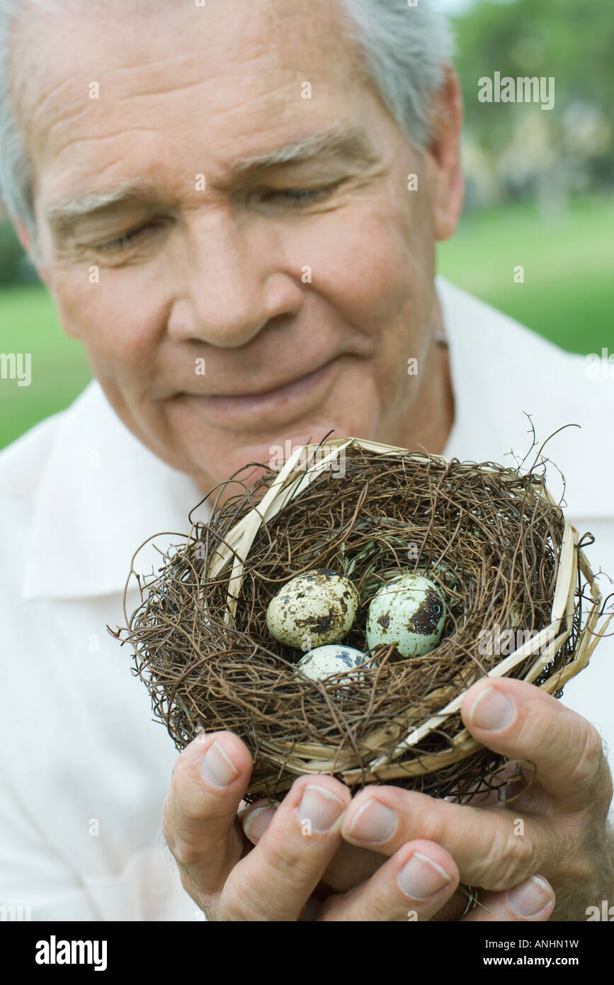 Senior man holding bird's nest, closeup Stock Photo Alamy
