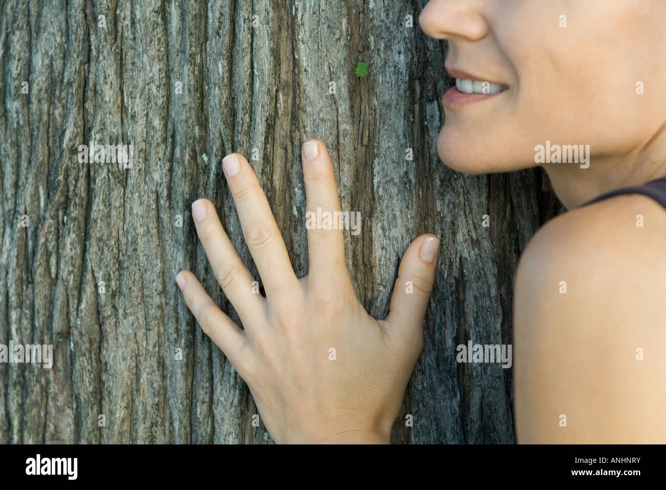 Woman Hand Tree Cropped image hand touching tree hi-res stock photography and images ...