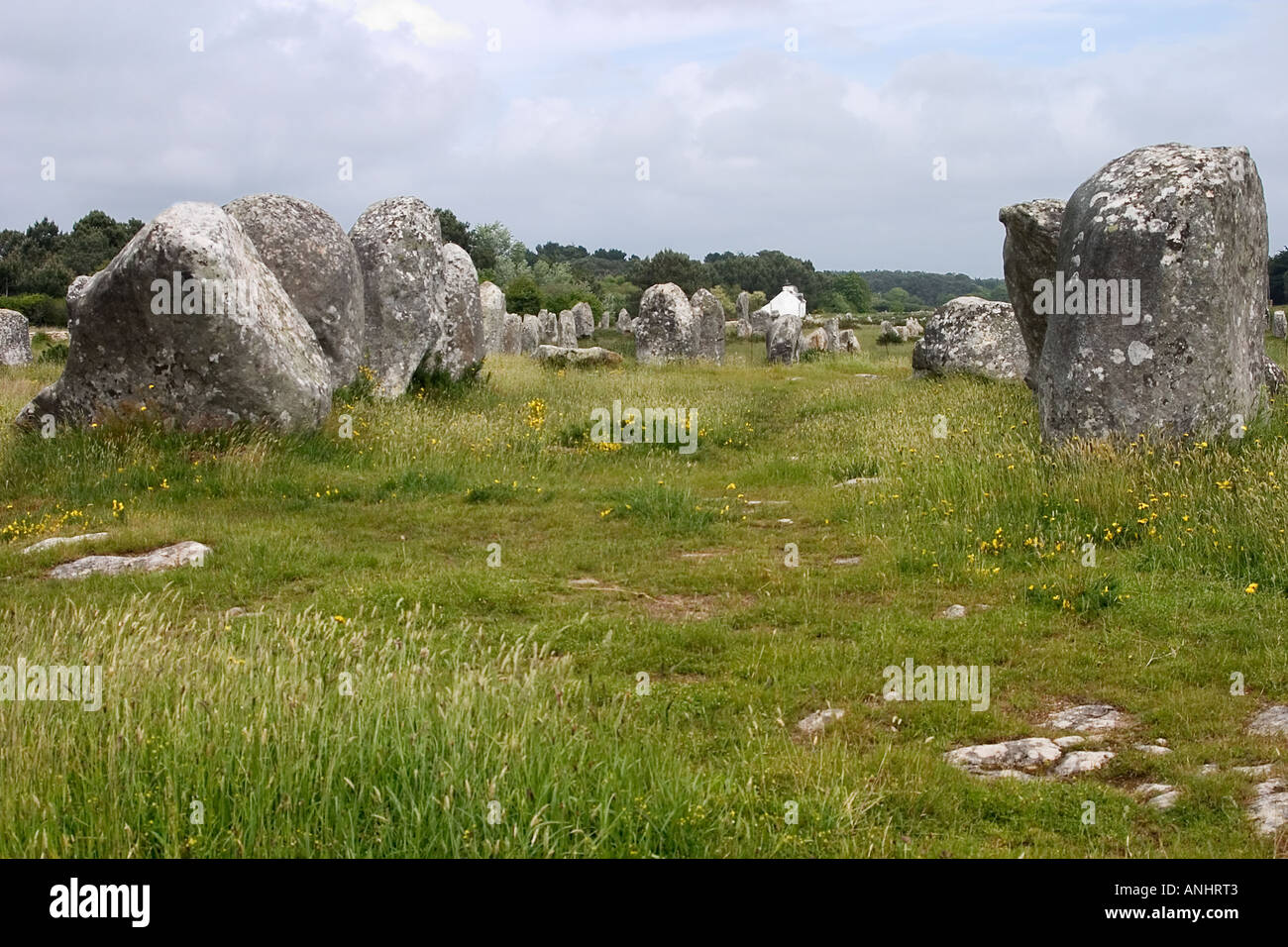 Standing Stone or menhir, Carnac, Brittany, France Stock Photo
