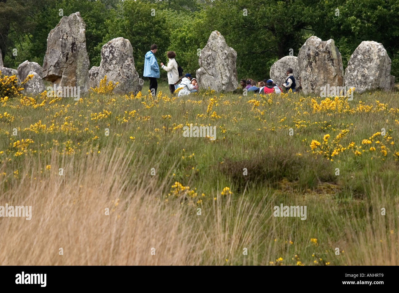 Standing Stone or menhir, Carnac, Brittany, France Stock Photo
