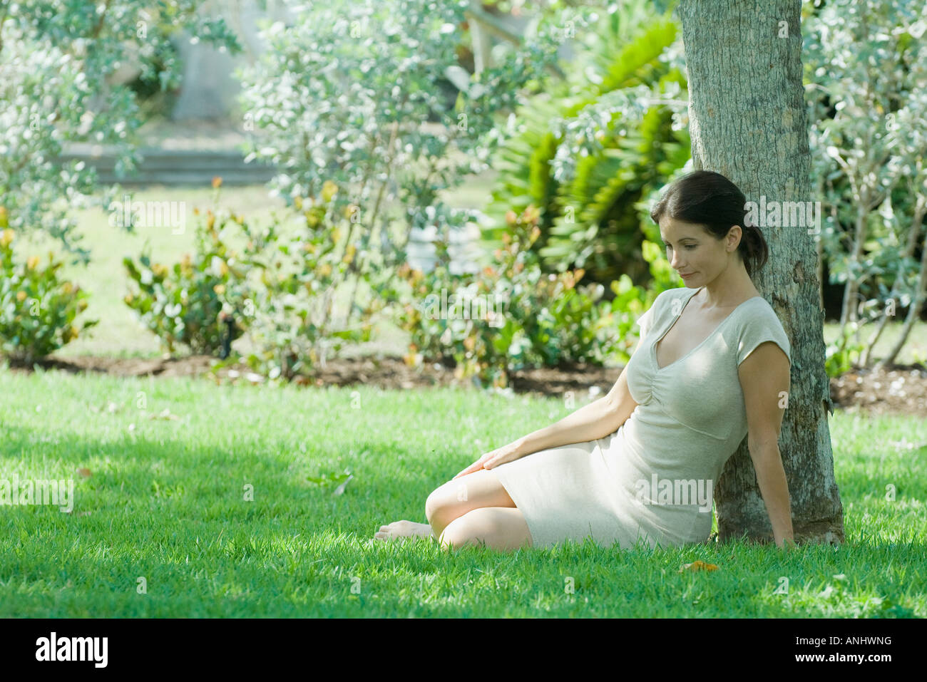 Woman sitting on the ground under tree, smiling, looking down Stock Photo