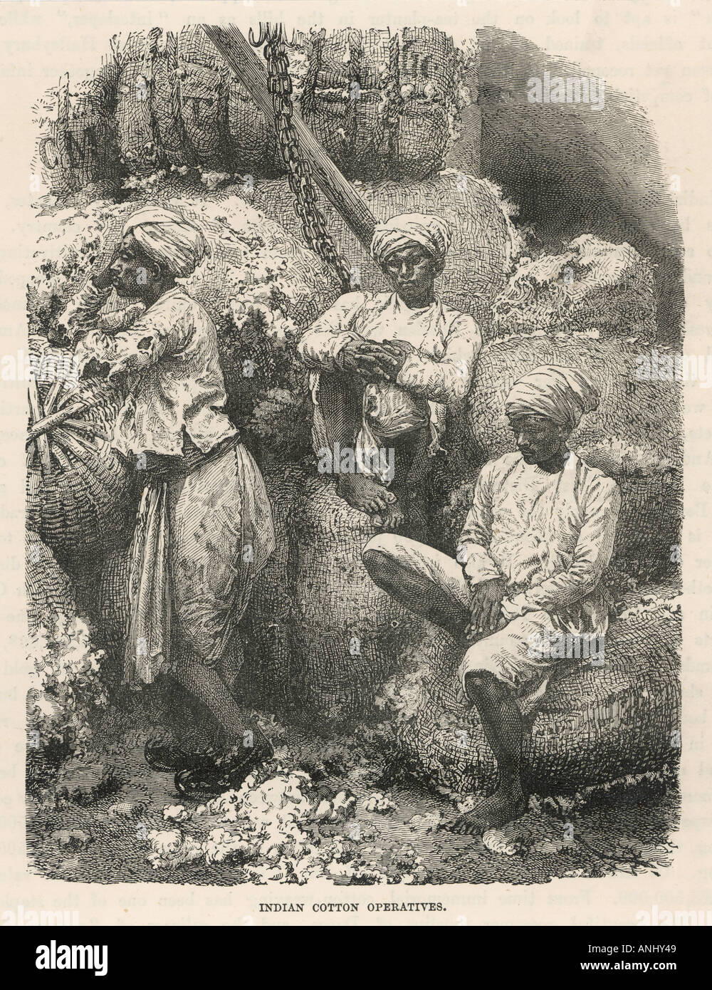 History of cotton hires stock photography and images Alamy