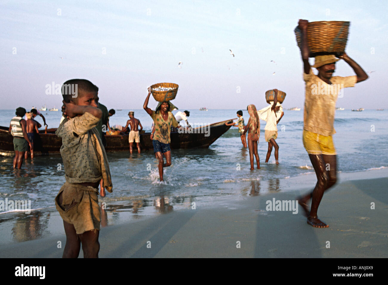 Kerala women porters fish hires stock photography and images Alamy