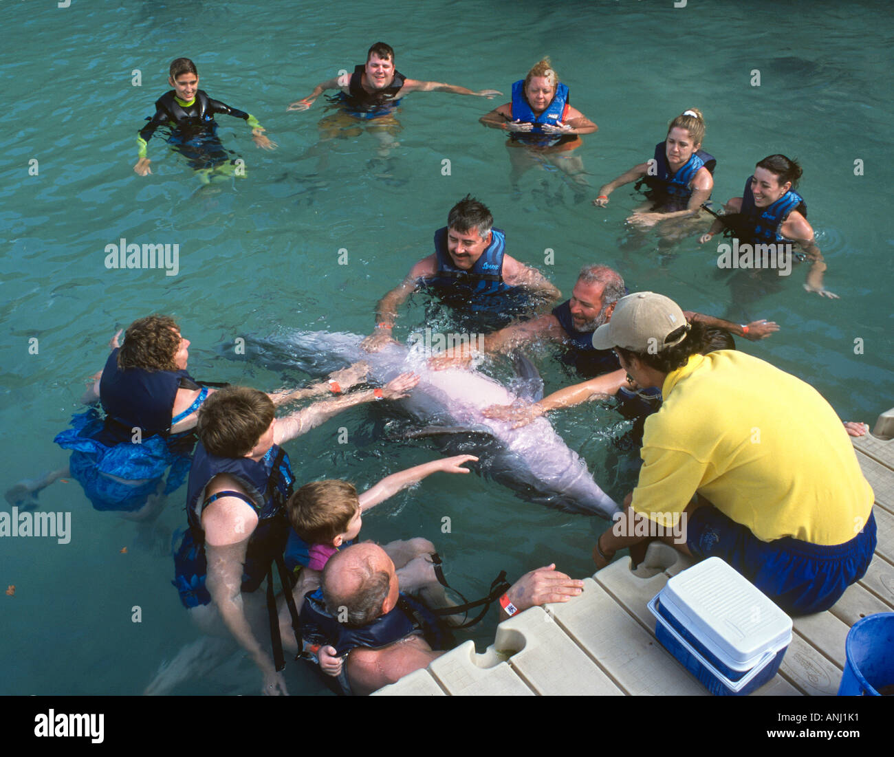 Swimming with Dolphins at Ocho Rios in Jamaica Stock Photo
