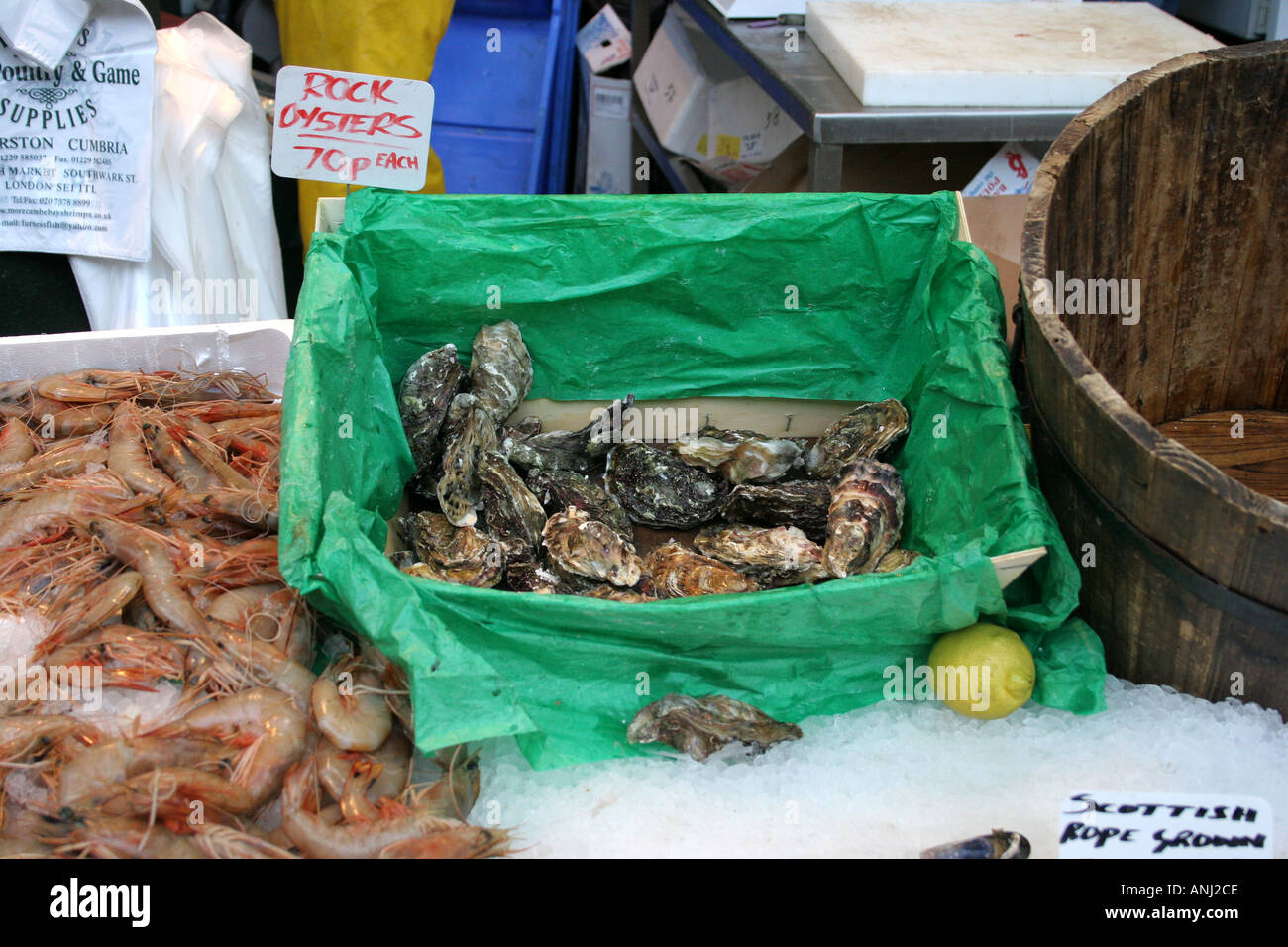 Oysters for sale Borough market London England Stock Photo Alamy