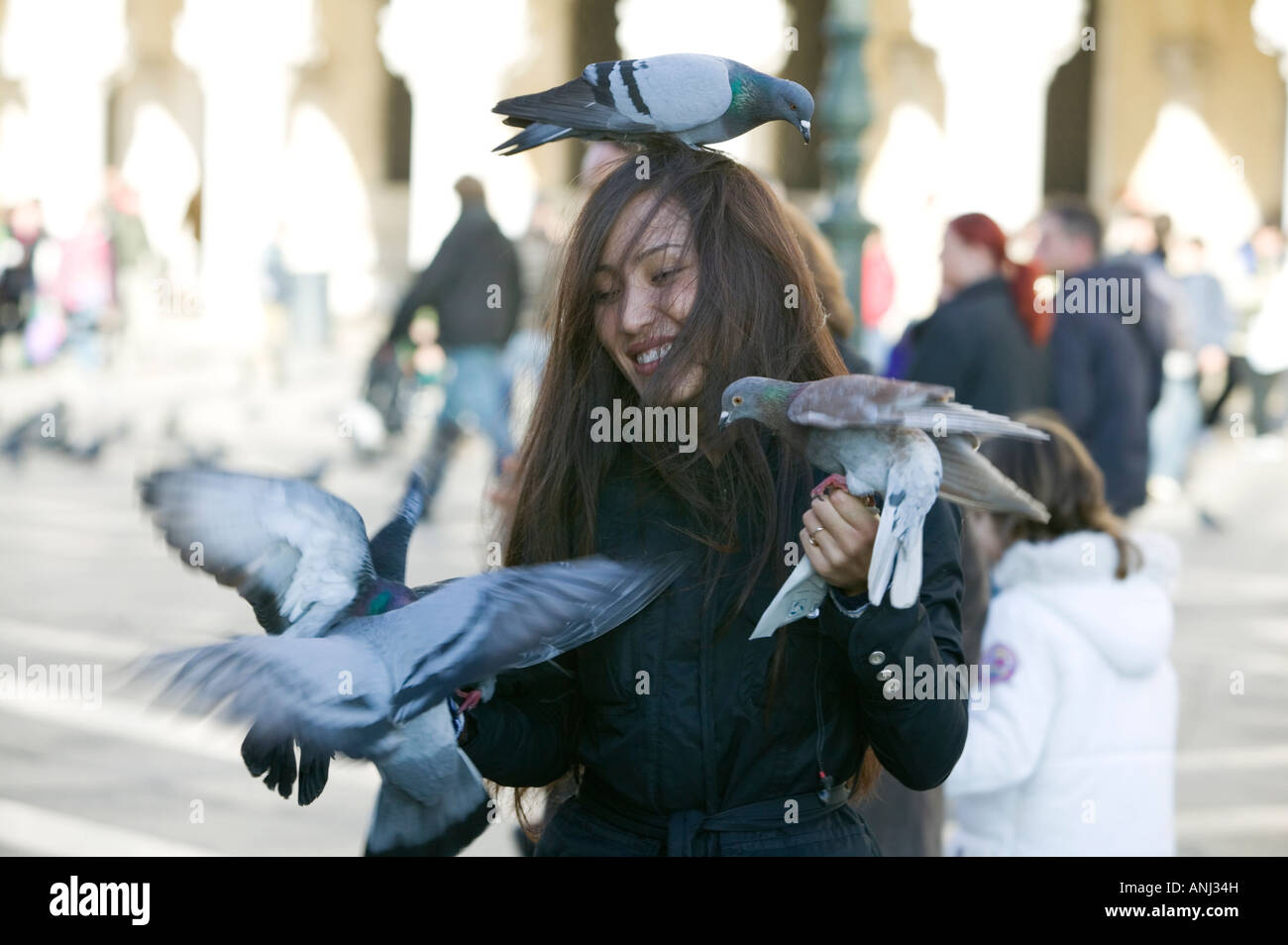 Young Woman feeding pigeons in St Mark's Square Venice Stock Photo Alamy
