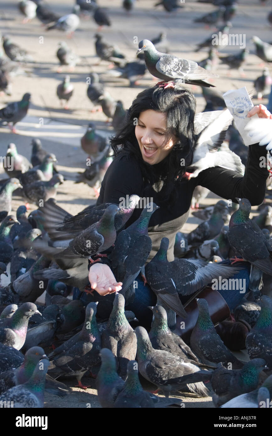 Young Woman feeding pigeons in St Mark's Square Venice Stock Photo Alamy