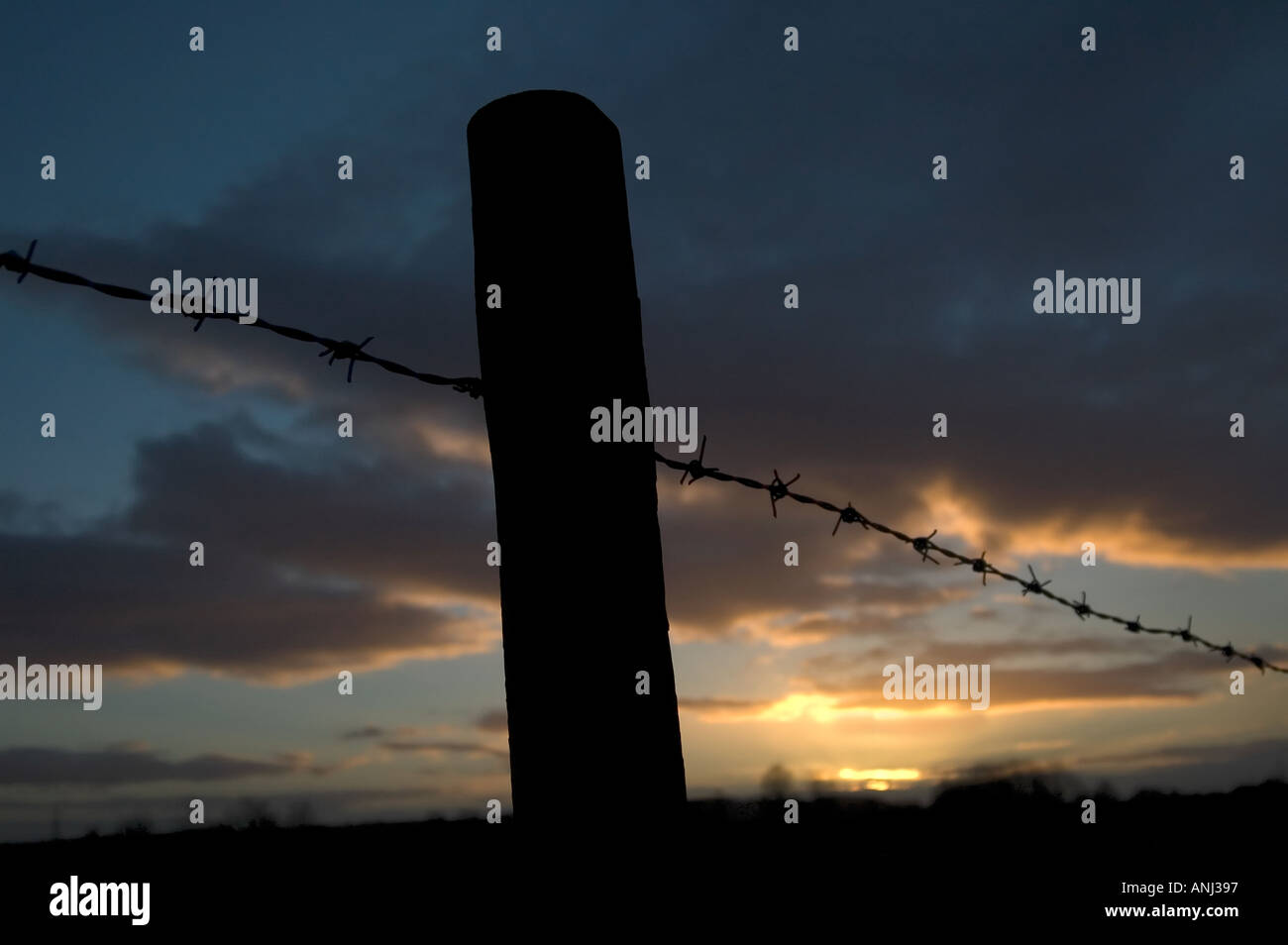 Barbed wire fence and sunset Stock Photo - Alamy