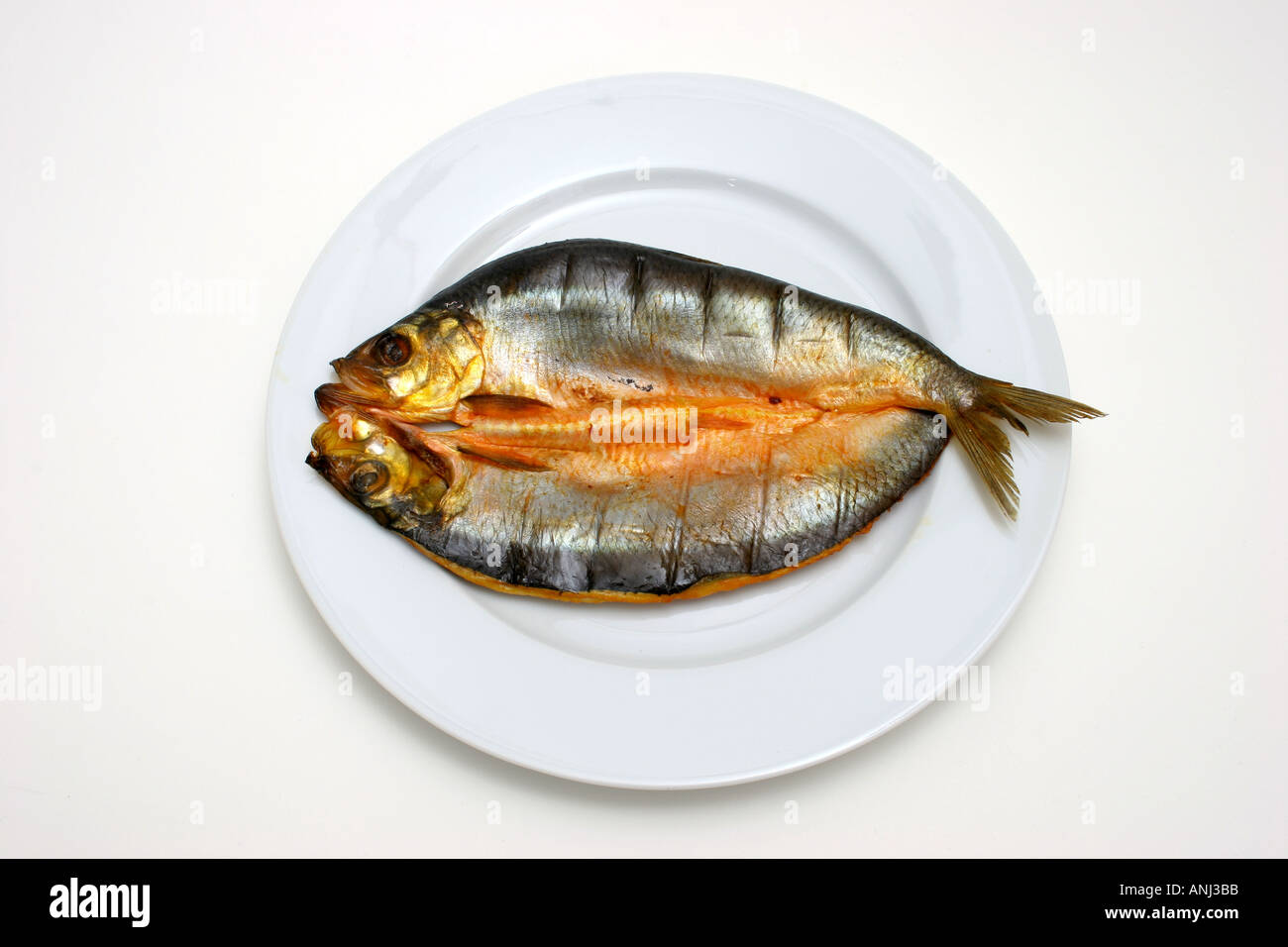 Real Kipper Traditional whole smoked Kipper studio still life Stock Photo - Alamy