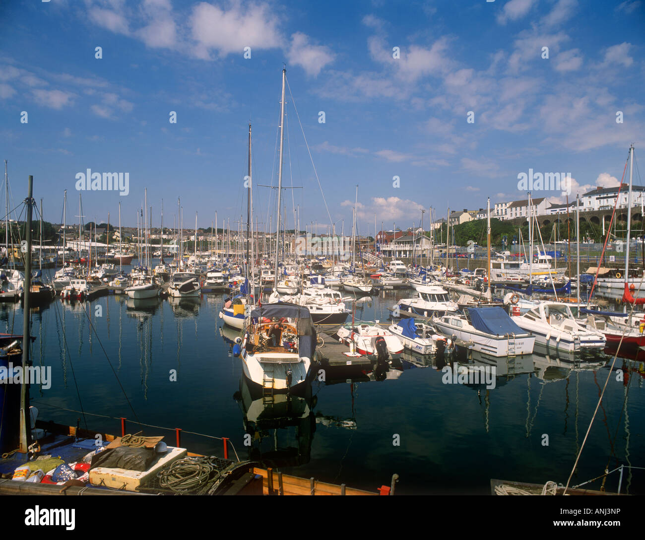 Harbour and Marina Milford Haven Stock Photo Alamy