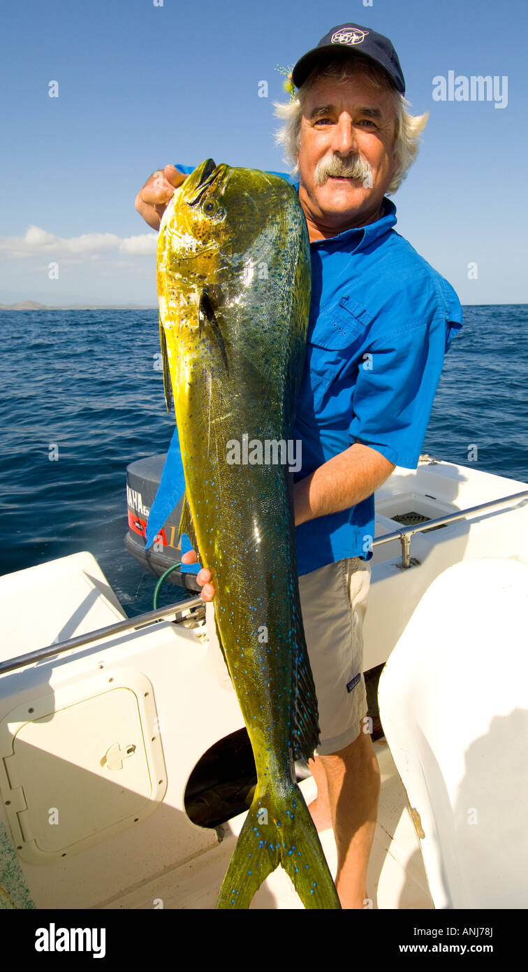 Mexico Baja California Fisherman landing large bull Durado while Sport