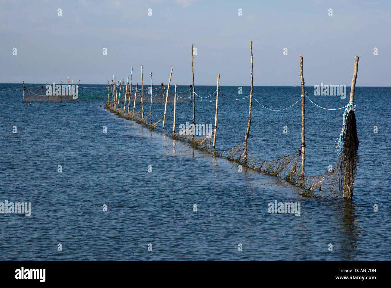 Bay Netting Fishing nets in a bay Stock Photo - Alamy