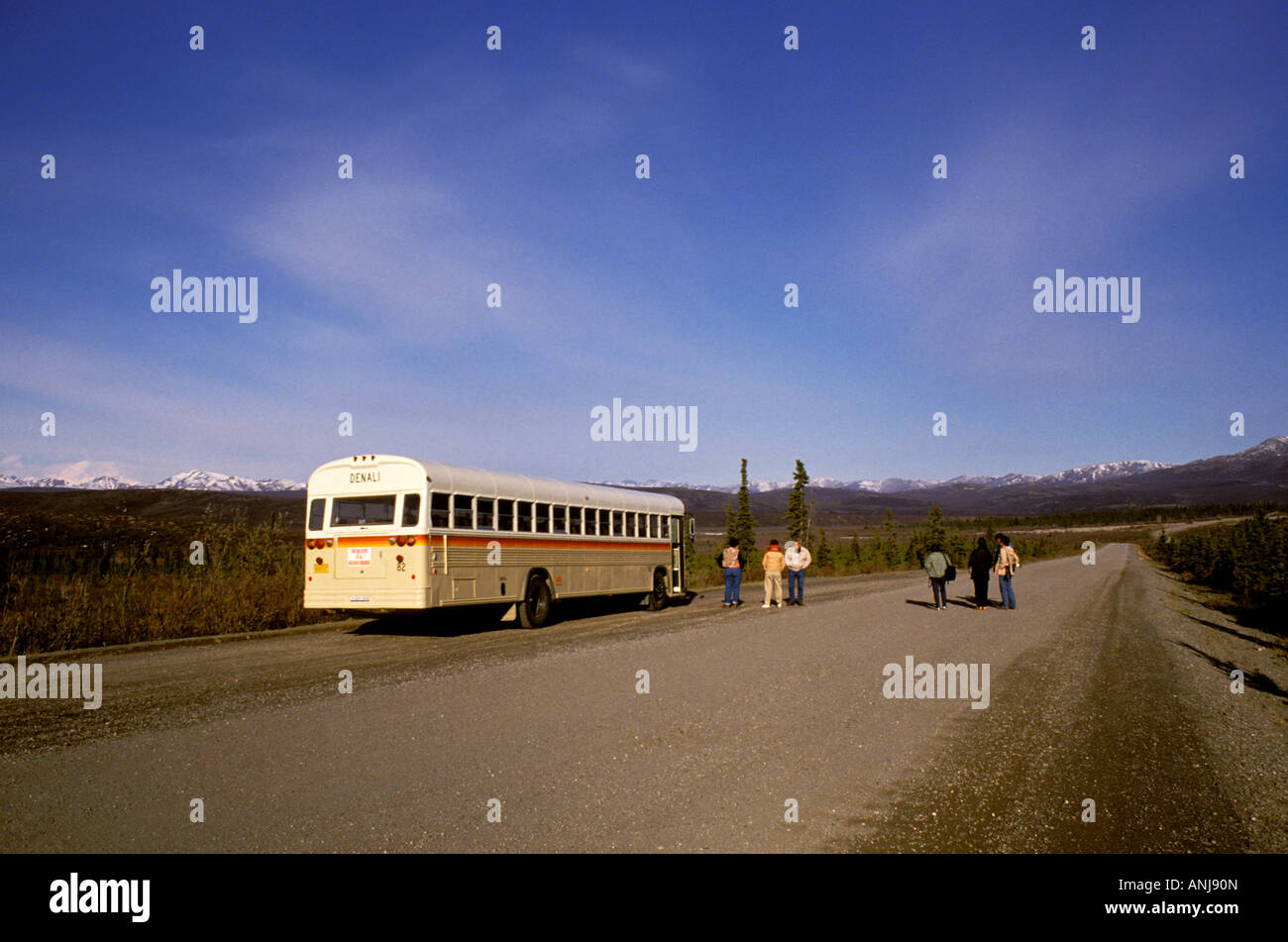 AK Alaska Denali National Park Wildlife Tour bus tour coach tour Stock Photo