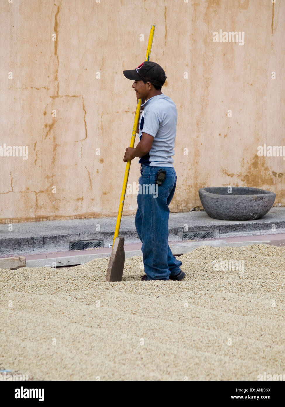 Coffee rake hi-res stock photography and images - Alamy