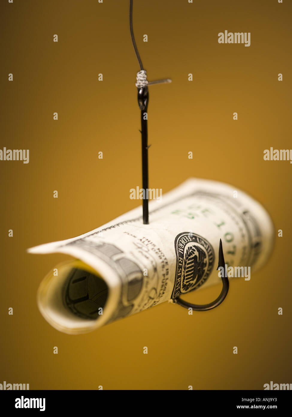Close up of an one hundred dollar bill hooked on a fishing hook Stock Photo