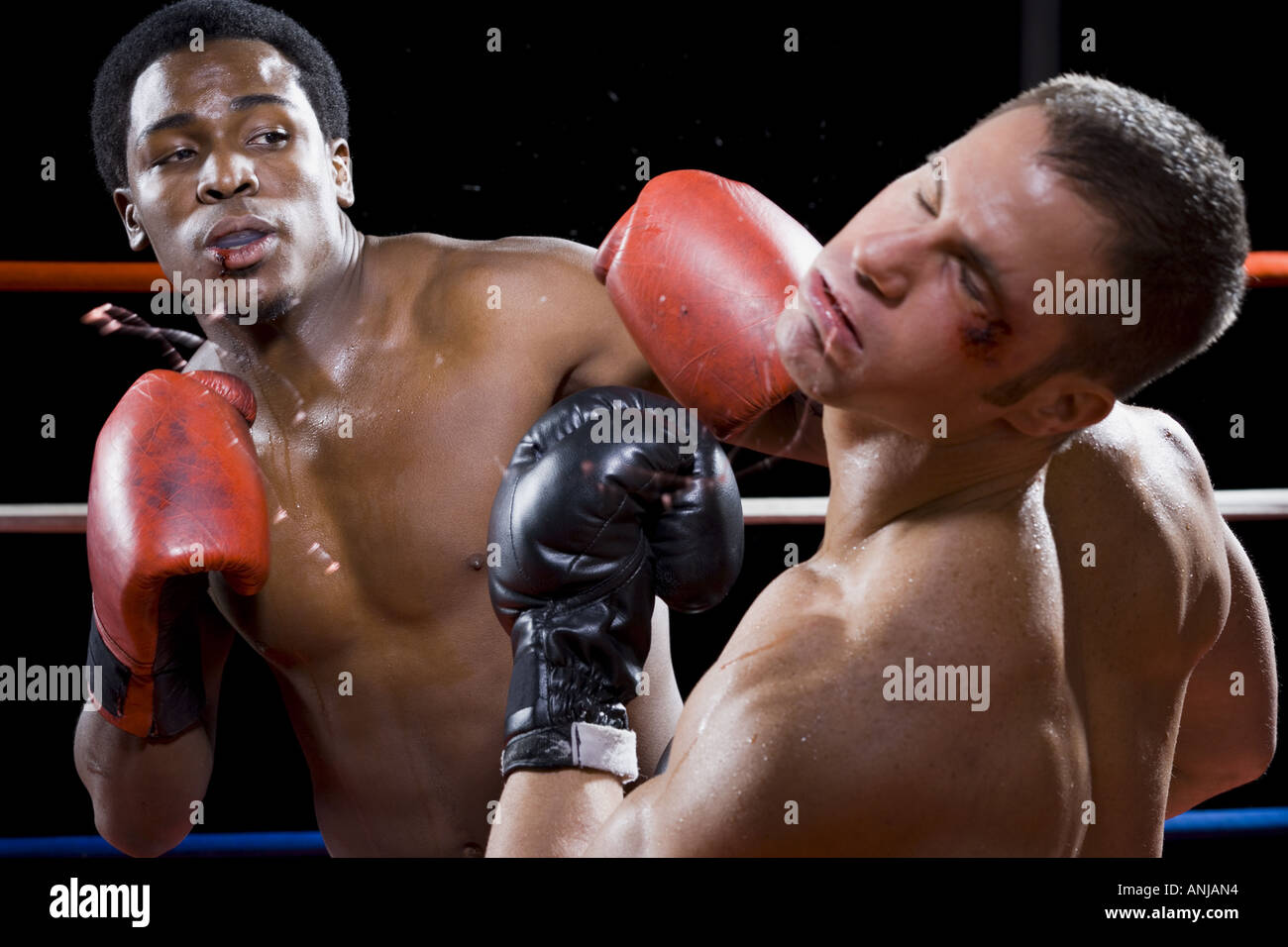 Close up of boxers fighting in a boxing ring Stock Photo