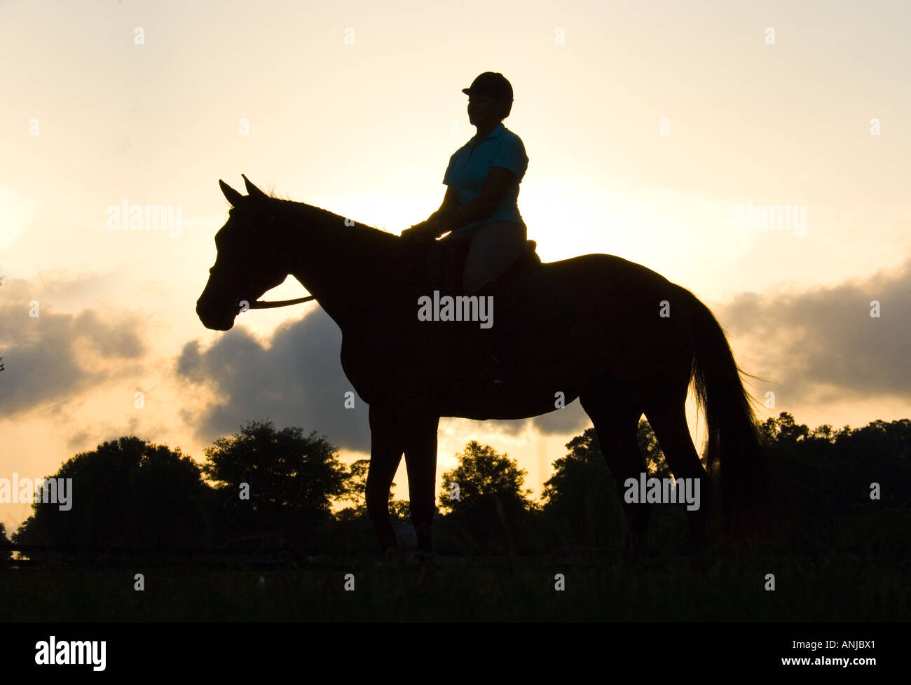 Rider equestrian equine horizon hi-res stock photography and images - Alamy