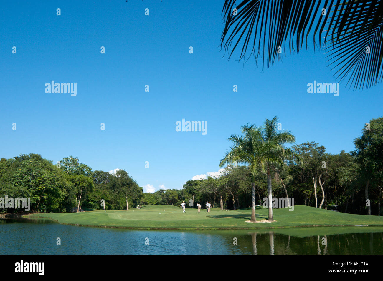 Golf Course at Playacar, Playa del Carmen, Riviera Maya, Yucatan Peninsula, Mexico Stock Photo