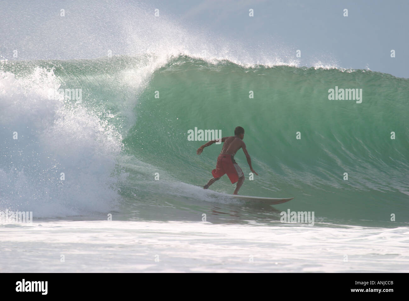 man surfing turning at bottom of wave with red short green wave
