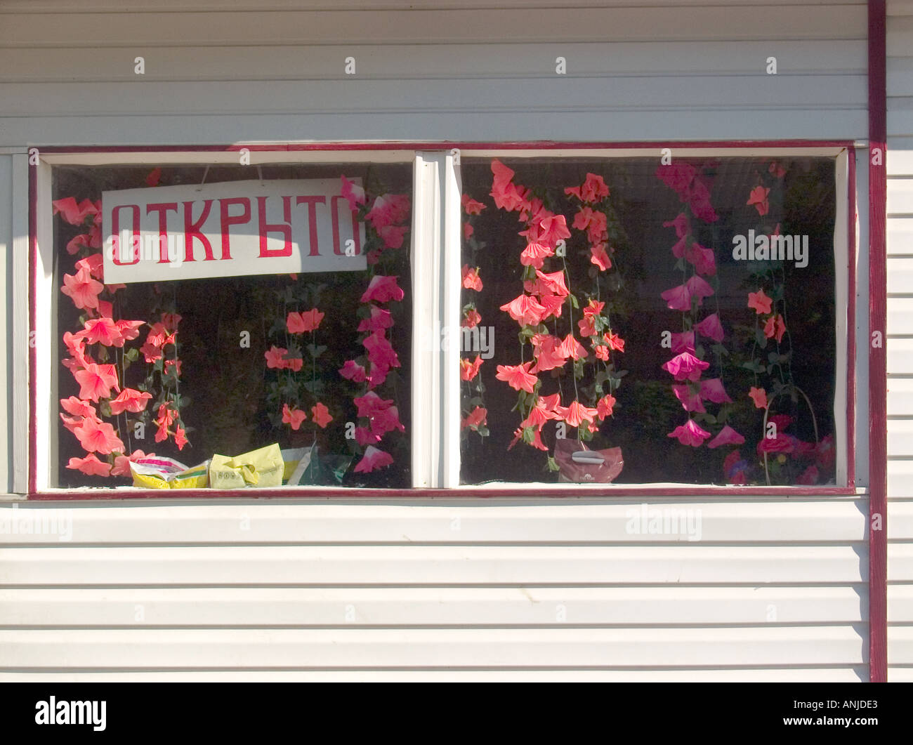 Flowers hanging in a florist's window Gomel Belarus Stock Photo