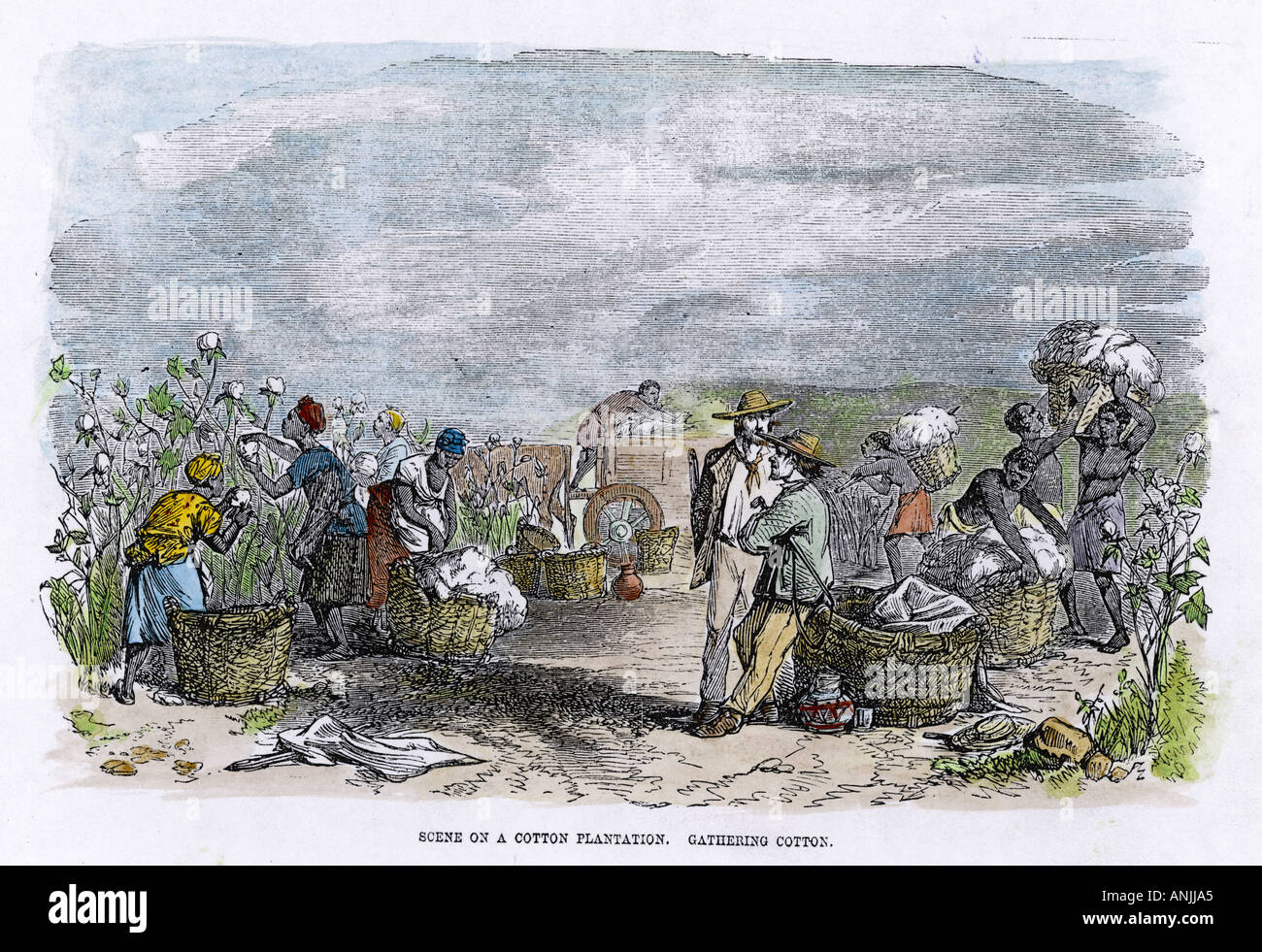 Slaves 1860 Stock Photos & Slaves 1860 Stock Images Alamy