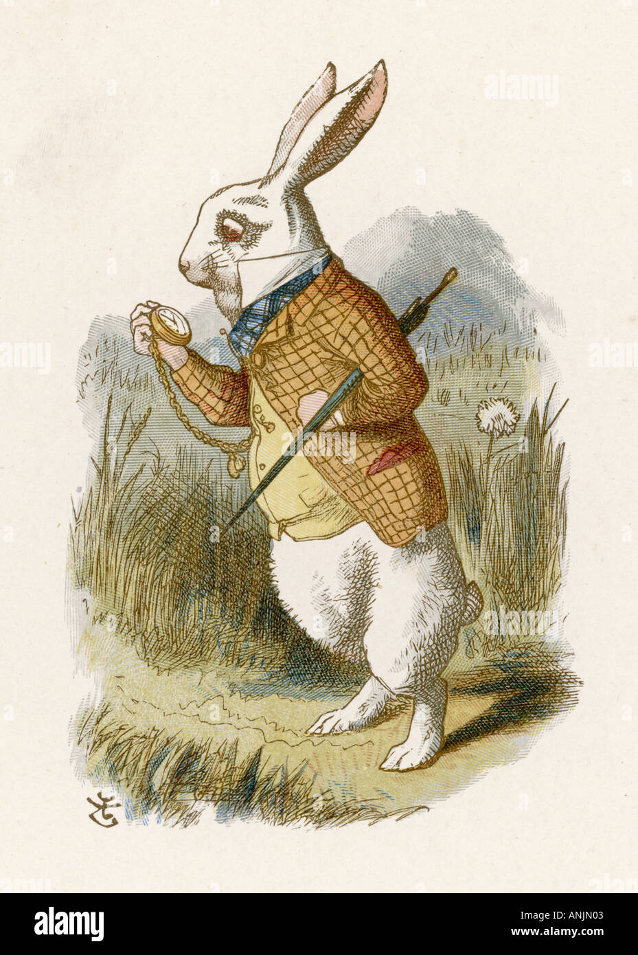 alice in wonderland white rabbit