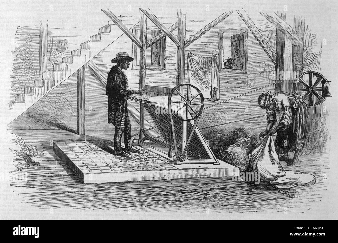 Industry Textiles Cotton Stock Photo Alamy