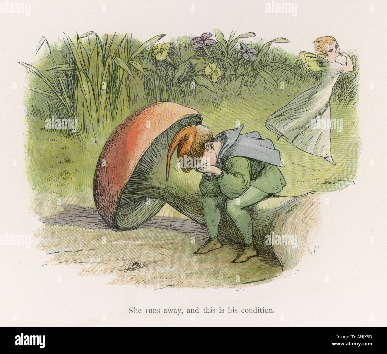 Toadstool folklore history historical hires stock photography and