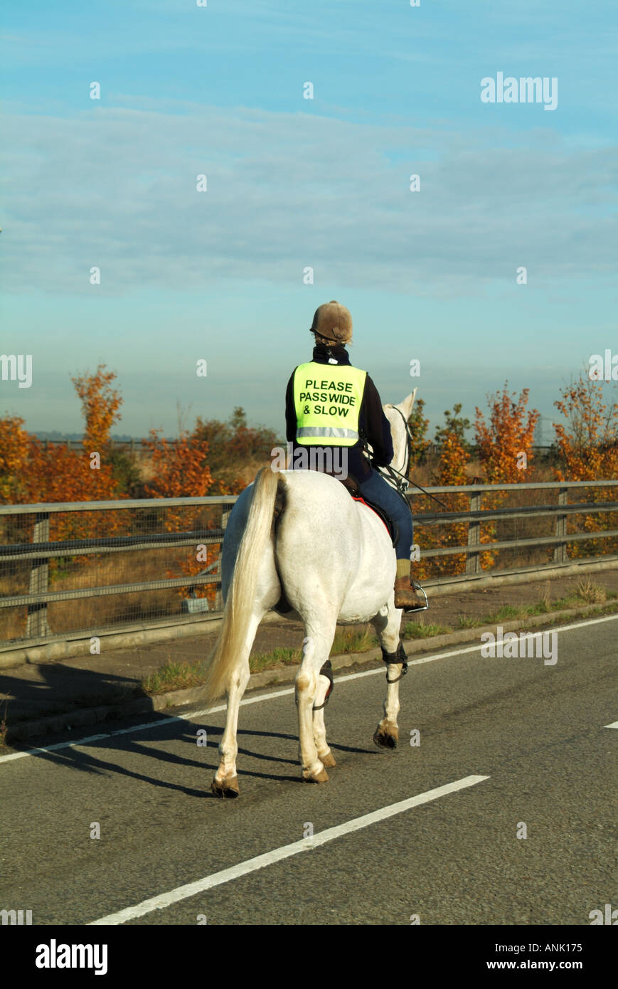High viz back view of woman horse rider on road bridge over motorway wearing high vis visibility safety vest message pass wide & slow Essex England UK Stock Photo