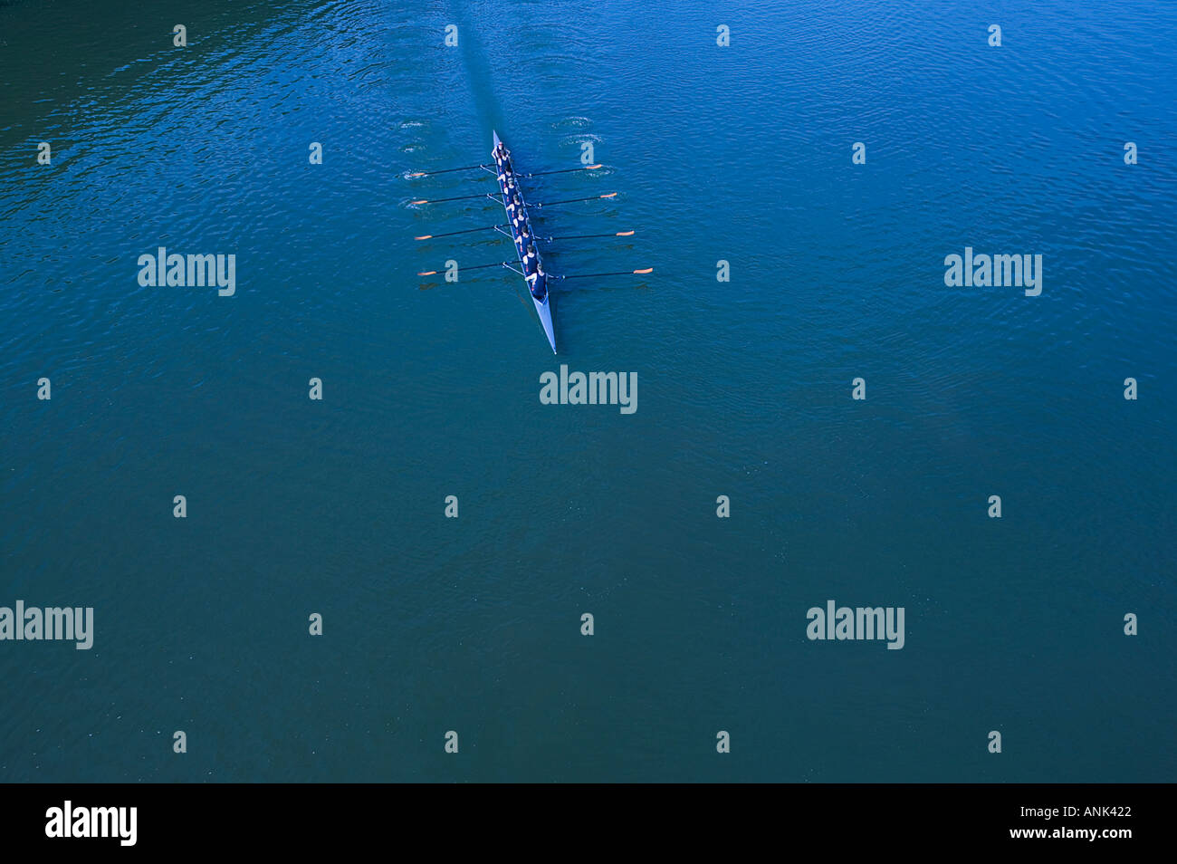 Rowing Team 4 Blue Stock Photo Alamy