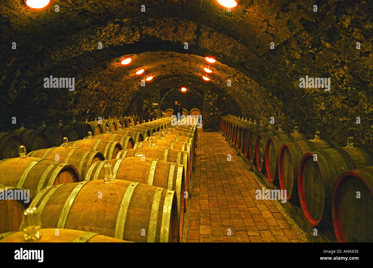 Wine cellar meaning hires stock photography and images Alamy