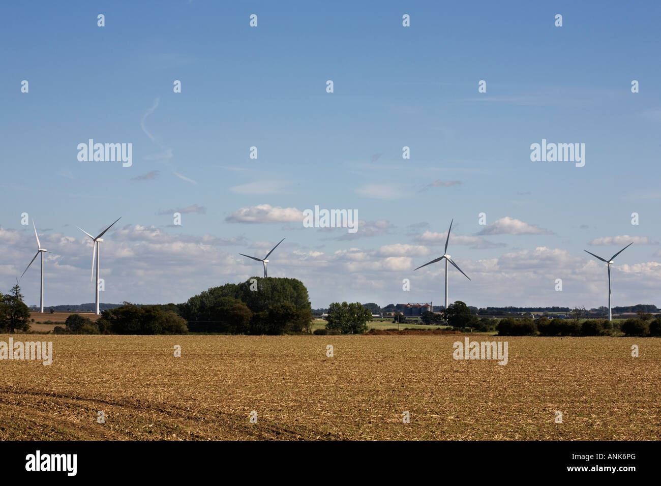 North Pickenham Windfarm from the A1065 Stock Photo Alamy