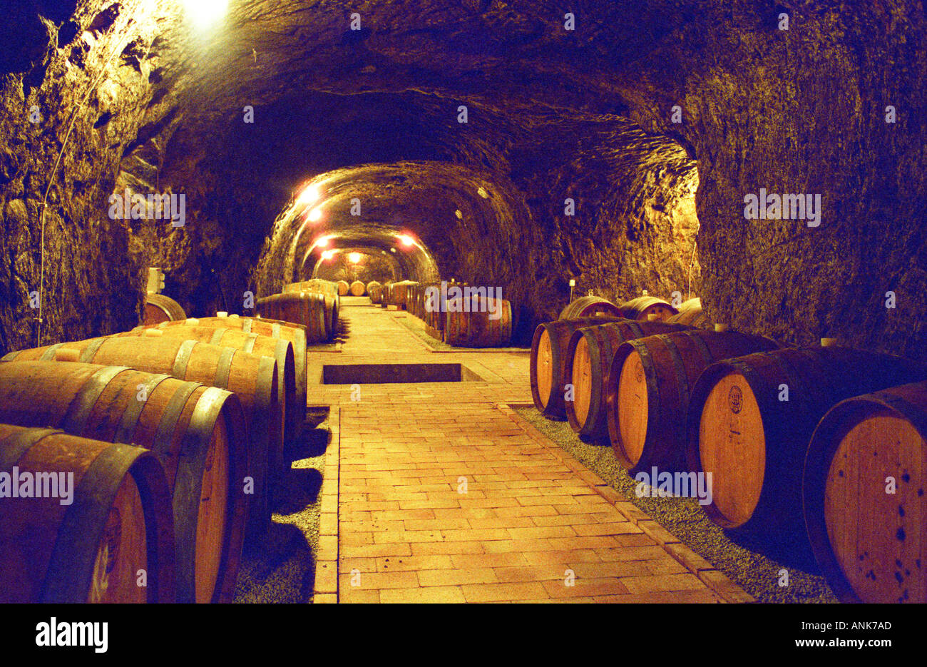 The Chateau Dereszla winery: the underground cellar. A tunnel with barrels of Tokaji wine. Stock Photo
