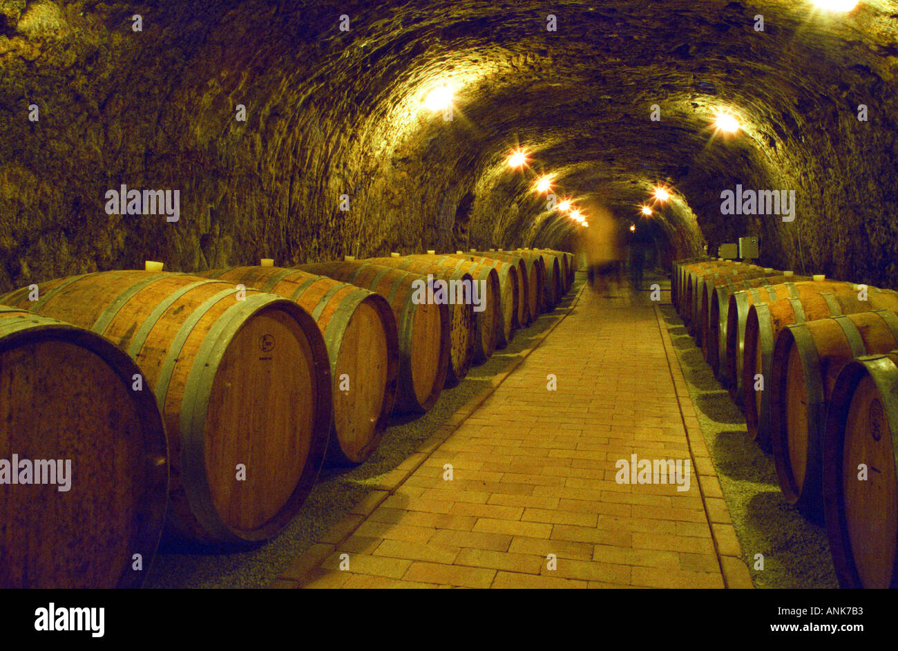 The Chateau Dereszla winery: the underground cellar. A tunnel with barrels  of Tokaji wine. People moving in the backrgound Stock Photo - Alamy